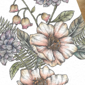 PRINTS